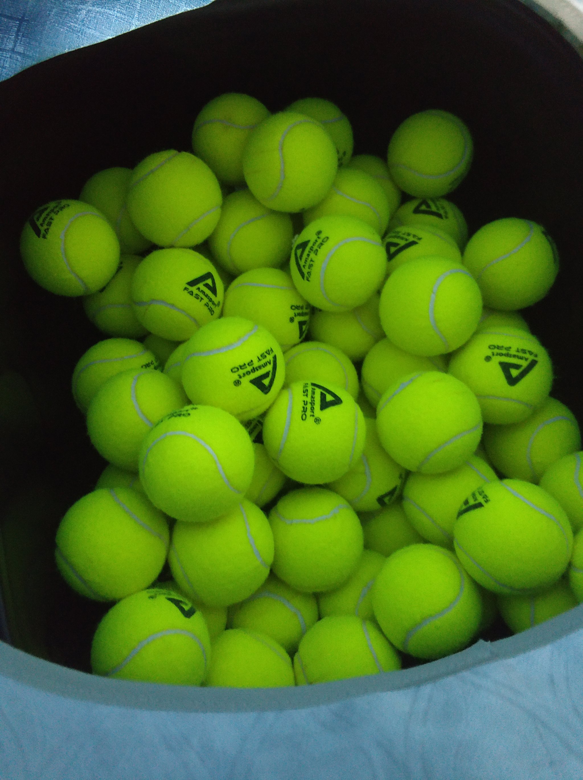 体育青岛男 体育青岛男