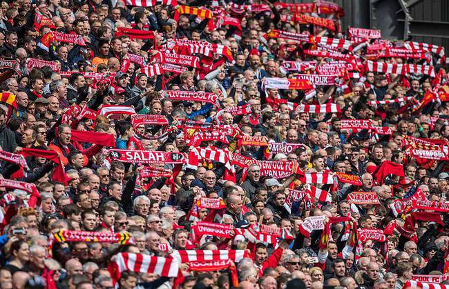 金流与可预 金流与可预