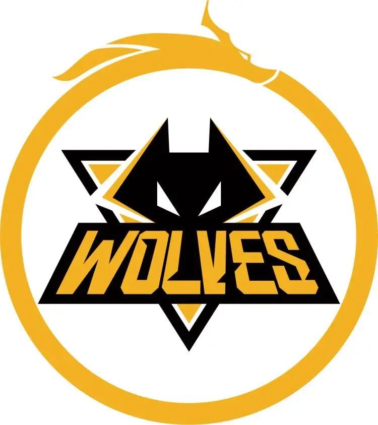 梯队尖兵获 梯队尖兵获